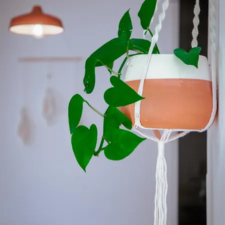 Апартаменты Mar-ria 5