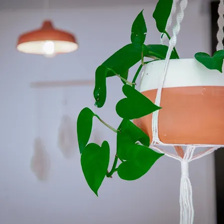 Апартаменты Mar-ria 5 Фузета